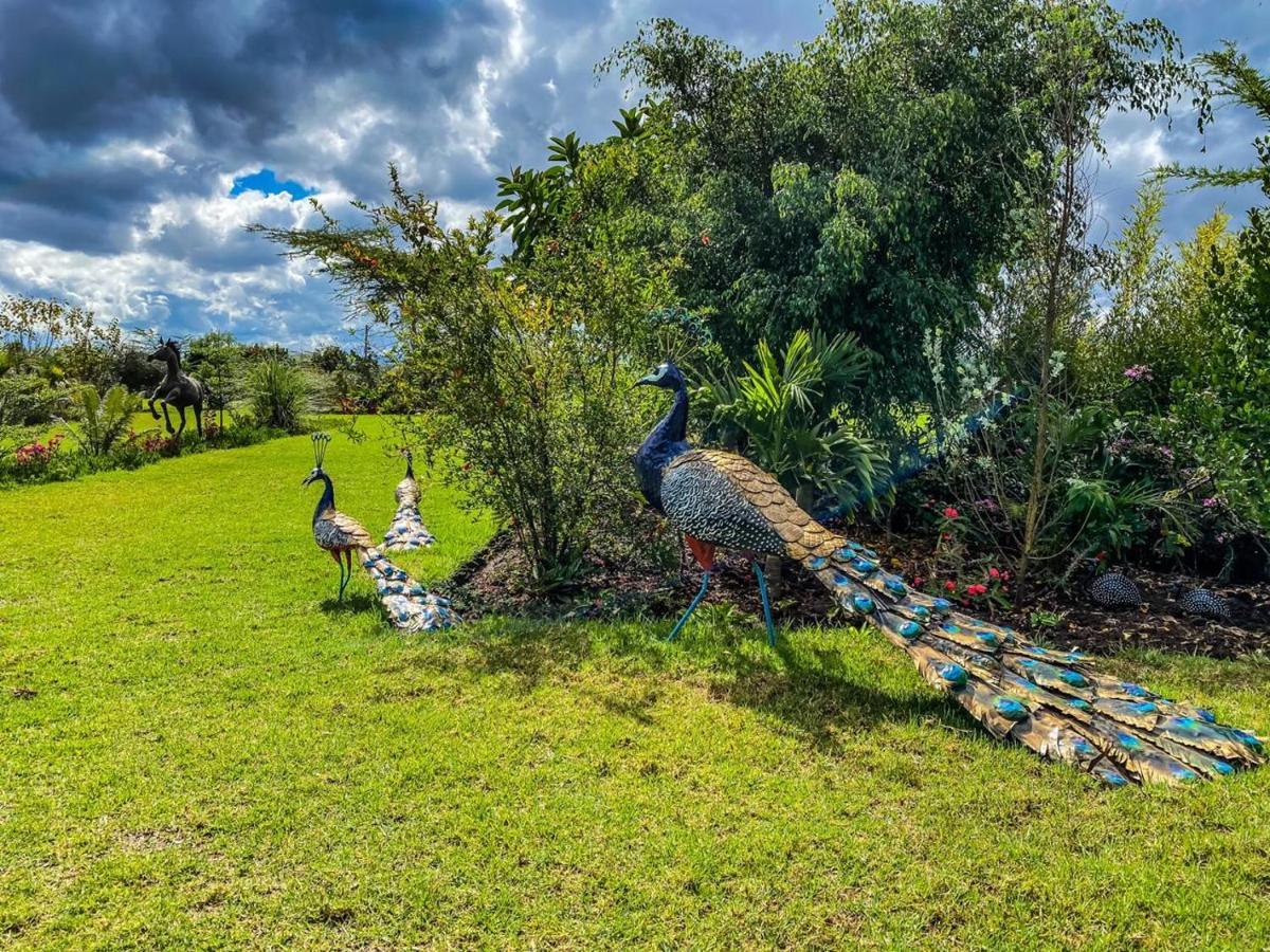 The Last Village Lodge Athi River Экстерьер фото